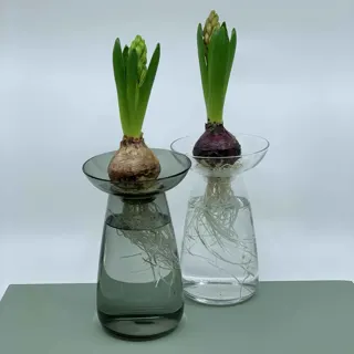 200064.1-2.JPEG