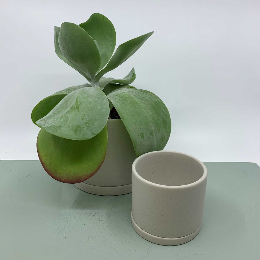 Pflanzentopf 8.5cm grau