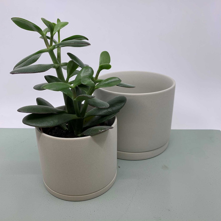 Pflanzentopf 10.5cm grau