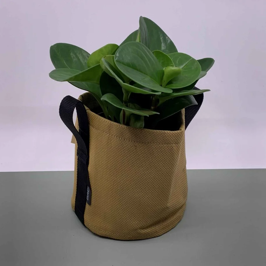 Bac Sac 3L beige