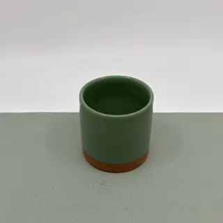 IMG_4446.JPEG